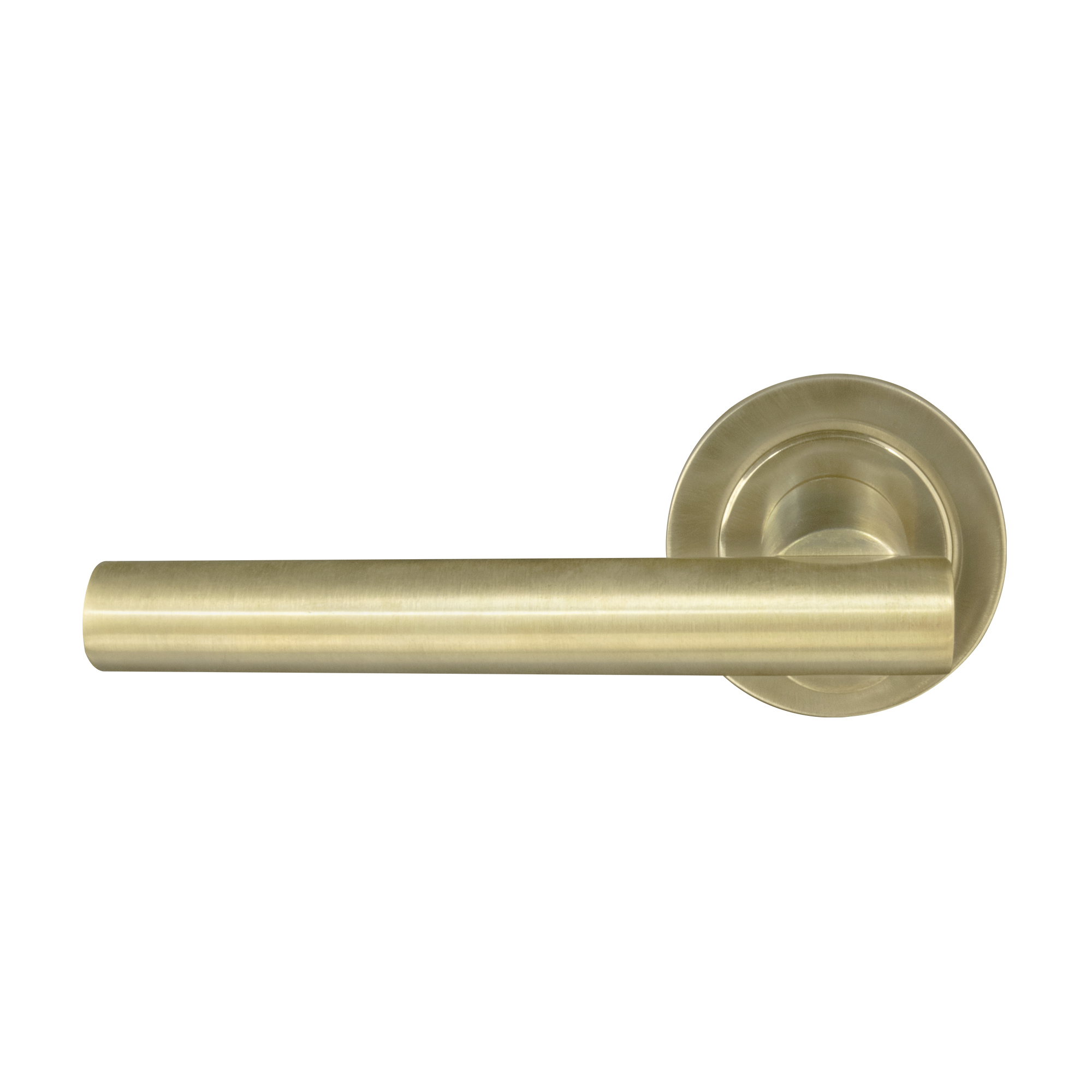 Charleston Round Rose Dummy Lever